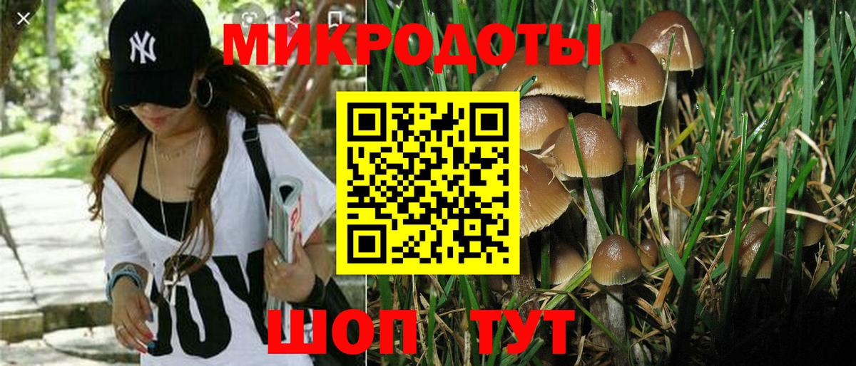 Галлюциногенные грибы прущие грибы  Псилоцибиновые грибы мухоморы  Муравленко  Вход с VPN 